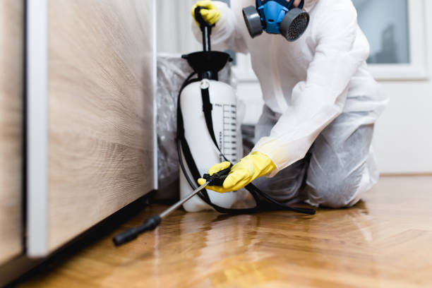 Best Cockroach Control Services  in Freeman, SD