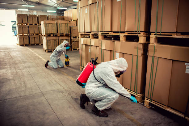 Best Emergency Pest Control  in Freeman, SD
