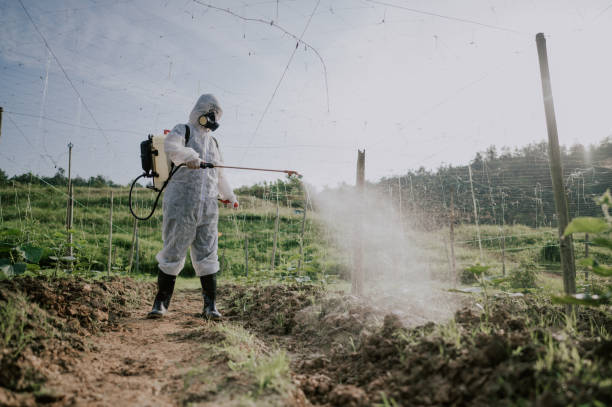 Best Local Pest Control Services  in Freeman, SD