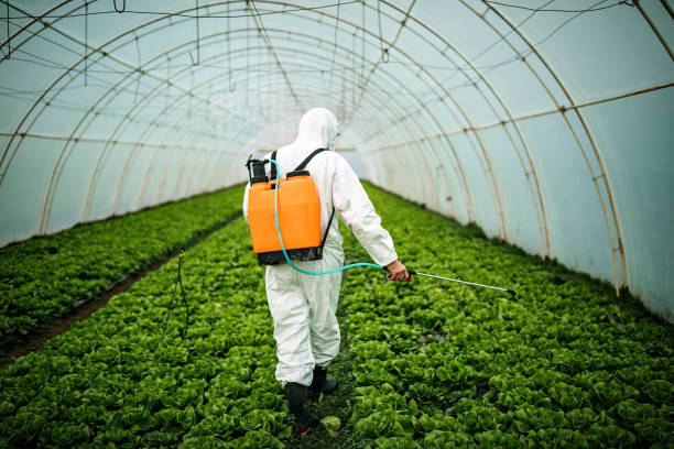 Best Pest Removal Services  in Freeman, SD