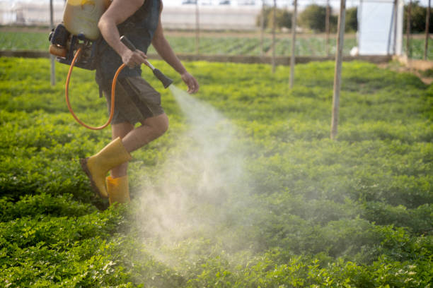 Best Residential Pest Control  in Freeman, SD