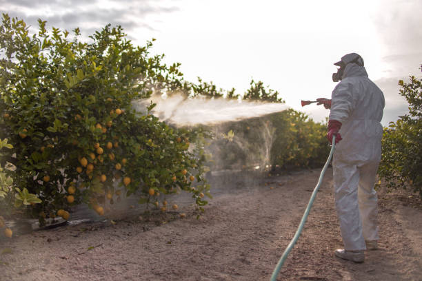Best Affordable Pest Control Services  in Freeman, SD