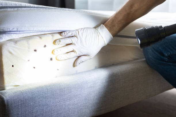 Best Commercial Pest Control Services  in Freeman, SD