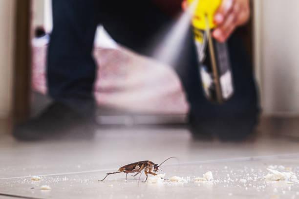 Best Exterminator Services  in Freeman, SD