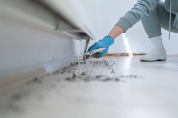 Best Bed Bug Extermination  in Freeman, SD